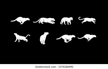 set leopard logo icon design vector illustration