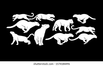set leopard logo icon design vector illustration