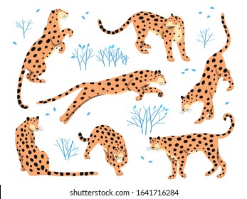 Set of leopards in different poses.