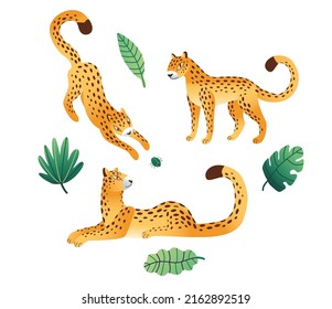 Set of leopards with leaves. Wild cat vector illustration. Funny animal characters. 