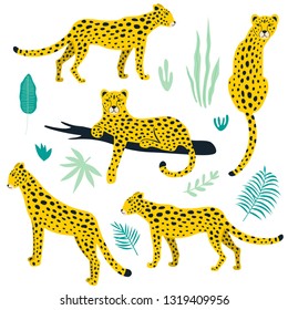 Set of leopards and tropical leaves.Vector illustration