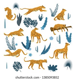 Set of leopards in various poses, plants, flowers, exotic, graphic cute trend style, mammal predator, jungle. Vector illustration of cartoon style