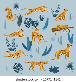 Set of leopards in various poses, plants, flowers, exotic, graphic cute trend style, mammal predator, jungle. Vector illustration of cartoon style