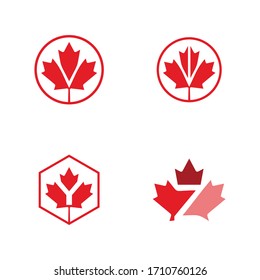 plantilla vectorial de diseño de logotipo de máple de carta
