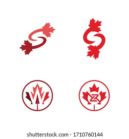 set letter maple logo design vector template