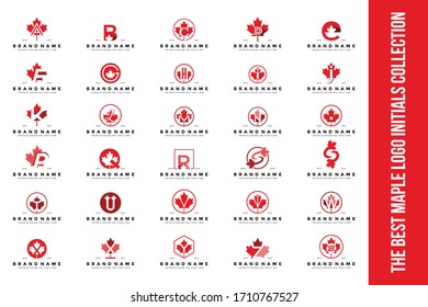 set letter maple logo design vector 