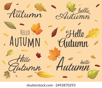 The set of lettering hello autumn. Fall season. Orange and yellow leaf. Design with autumn leave. Vector illustration