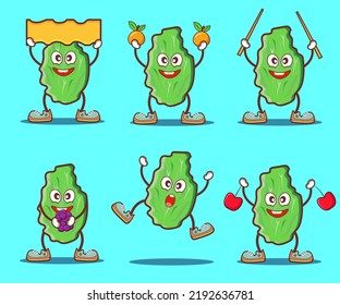 set of lettuce expressions illustration and vector