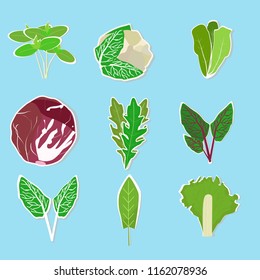 
Set of lettuce leaf stickers on a blue background