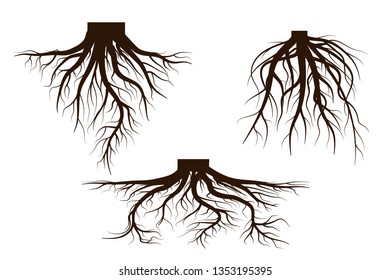 Set of Life tree with roots . Vector illustration icon isolated on white background.
