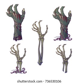 Set of lifelike depicted rotting zombie hands and skeleton hands rising from under the ground and torn apart. Painted linear drawing isolated on white background. EPS10 vector illustration