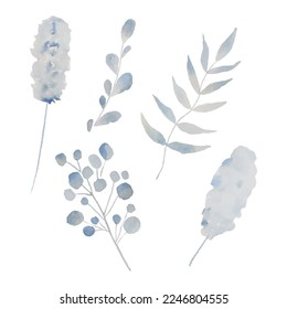 Set of light blue leaves elements. Collection botanical vector isolated on white background suitable for Wedding Invitation, save the date, thank you, or greeting card. Vector EPS10