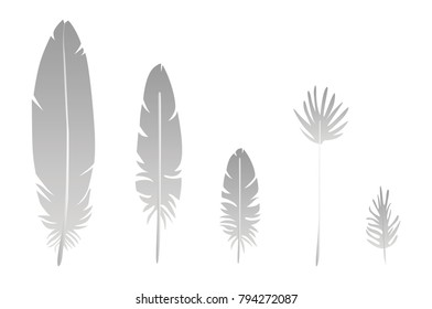 Set of Light Feathers - Vector Illustration Isolated