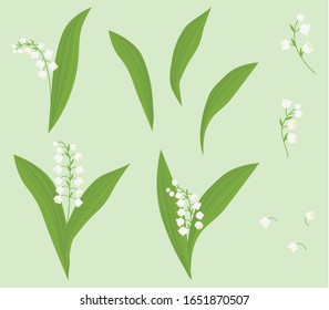 Set lilies of the valley flowers vector botanical illustration