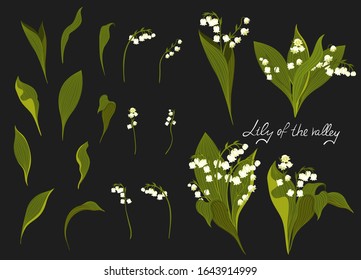 Set of lilies of the valley. Vector graphics.