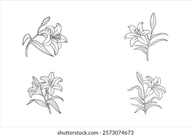 Set lily flower coloring page book illustration with decorative line art vector and lilium drawing flower. decorative zentangle art drawing clip art zen doodle coloring flower. floral sketch drawing