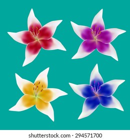 Set of lily flower in red, purple, yellow and blue color, isolated vector object