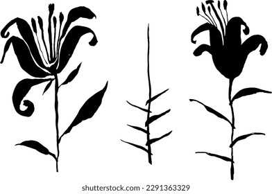 Set of Lily Flower Silhouettes.