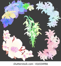 Set lily flowers jasmine, hibiscus, snowdrop. vector illustration