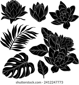 Set of Lily flowers with monstera and palm leaves silhouettes. Vector flowers