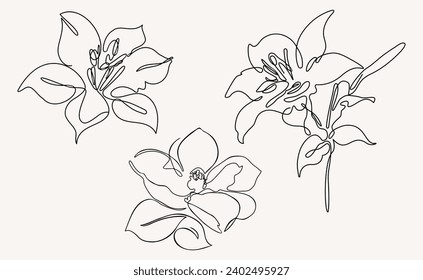 A set of lily flowers. One-line drawing style. Abstract vector illustration for print, tattoo, cover, wallpaper, minimalist wall art.