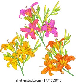 Set of lily flowers. Print for textiles. Beautiful flowers