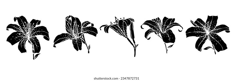 Satz von Lilienblumen Silhouetten. Vektorgrafiken.
