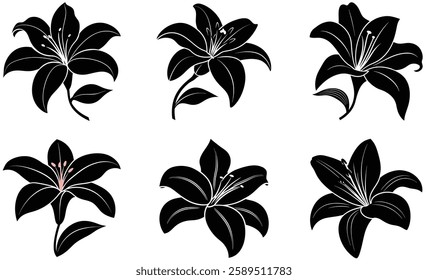 Set of Lily Silhouettes illustration on white background