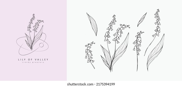 Conjunto de lirio de flores y logo del valle. Elementos botánicos de moda. La línea dibujada a mano deja ramas y florece. Boda de flores silvestres elegantes para invitación, salva la tarjeta de fecha. Verdor de moda vectorial