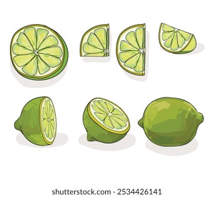 set of lime citrus fruit different cuts and perspective moon shape half cut isolated on white background