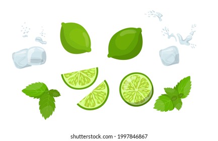 a set of lime mint and ice in a vector for a summer drink of freshness, in bright juicy colors