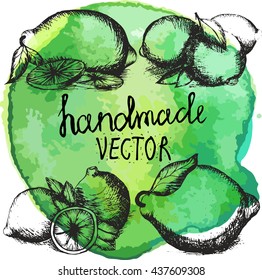 set of lime on watercolor background. six sites . to design the menu and the restaurant .