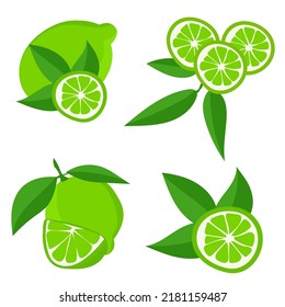 Set with limes. Cutting citrus fruits into slices, slices, circles. Ripe fresh limes on a tree branch. Vector flat illustration