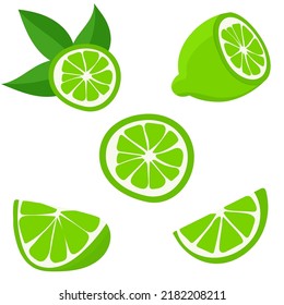 Set with limes. Cutting citrus fruits into slices, slices, circles. Ripe fresh limes on a tree branch. Vector flat illustration