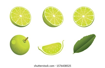 Set of Limes isolated on white background.