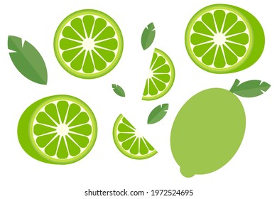 Set of limes. Lime in section. Lime slices. Vector graphics