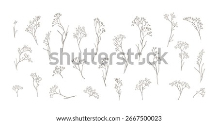 Set of limonium flowers. Hand drawn line leaves branches and blooming. Wedding elegant wildflowers for invitation save the date card. Vector trendy greenery