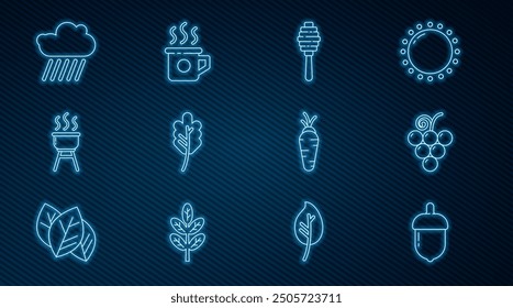 Set line Acorn, Grape fruit, Honey dipper stick, Leaf leaves, Barbecue grill, Cloud with rain, Carrot and Cup of tea icon. Vector