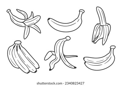 Conjunto de líneas de bananas aisladas en fondo blanco. Un estilo de línea. Ilustración del vector