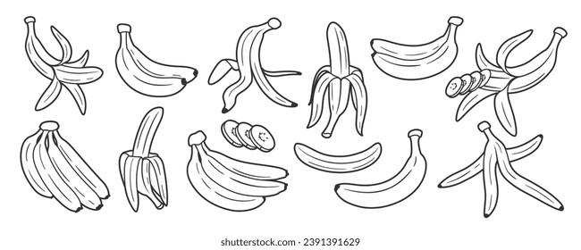 Set of line art of bananas isolated on white background. One line style. Vector illustration