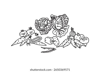 Set Line art botanical different vegetables isolated on white background. Hand drawn cartoon outline veggies with Cabbage Carrot Peas Pepper Onion Tomato vector illustration. Graphic design elements