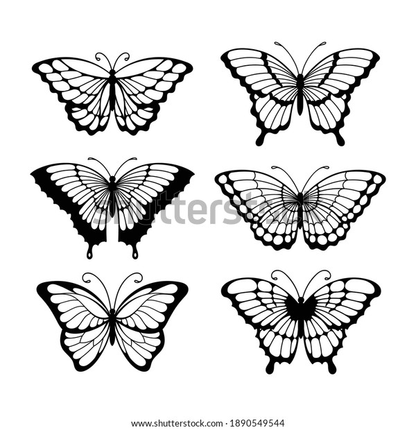 ラインアートの蝶のセット 白黒のイラスト蝶のセット のベクター画像素材 ロイヤリティフリー