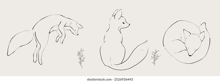 Set of line art cute elegant foxes. The fox jumps, sleep, sits. Hand drawn vector illustrations.