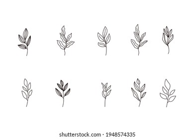 set line art drawing leaf collection