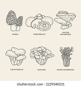 Set of line art edible mushrooms
