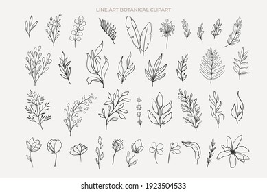 Set of line art floral botanical abstract flowers and branches. Black contour isolated on background, vector illustration, summer ans spring wildflowers, garden florals.