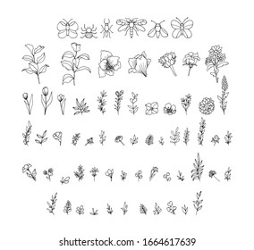 Set of line art floral and leaf elements. Vector illustration