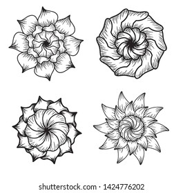 Set Of Line Art Flower Spirograph Sketch