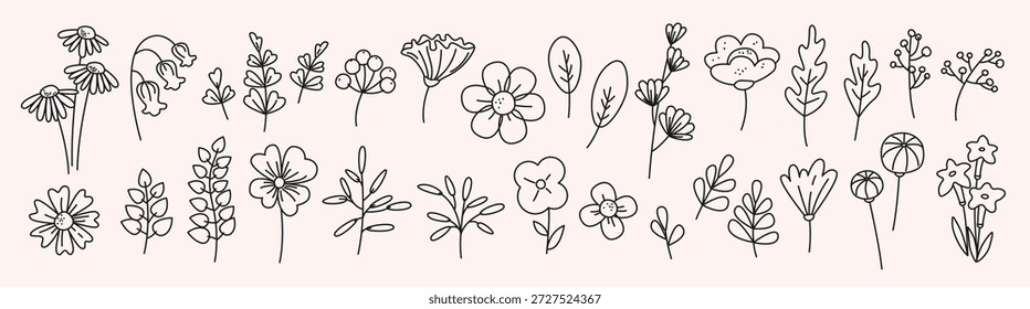 Conjunto de flores, ramas, follaje y cogollos. Elementos florales dibujados a mano botánicos elegantes para el diseño decorativo, impresiones, tarjetas, invitación de la boda, papelería. Ilustración vectorial aislada