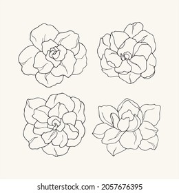 Set of line art gardenia flowers